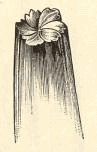 img7.gif