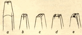 img6.gif